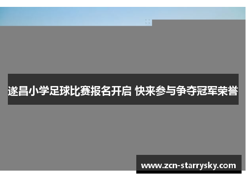 遂昌小学足球比赛报名开启 快来参与争夺冠军荣誉